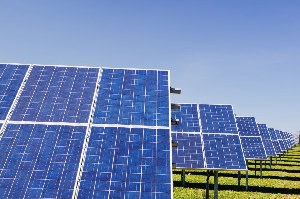 Painéis solares produzem energia elétrica