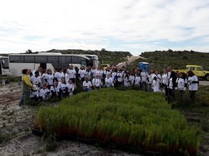 Ação de voluntariado no Pinhal de Leiria em 2019