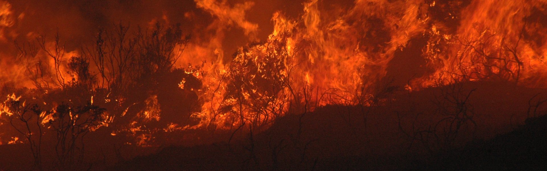 Fotografia de Incêndio na Serra na Lousão em 2008