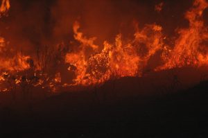Fotografia de Incêndio na Serra na Lousão em 2008