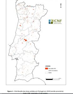 Mapa de incêndios florestais ICNF 2019